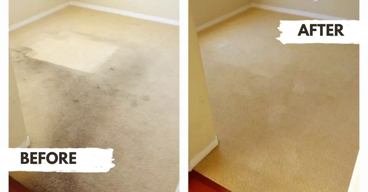 Carpet-Cleaning-Before-After